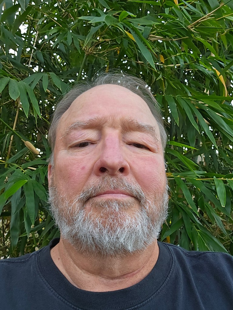 Eugene Hayman, author of When We Defied Heaven and Where Madmen Rule